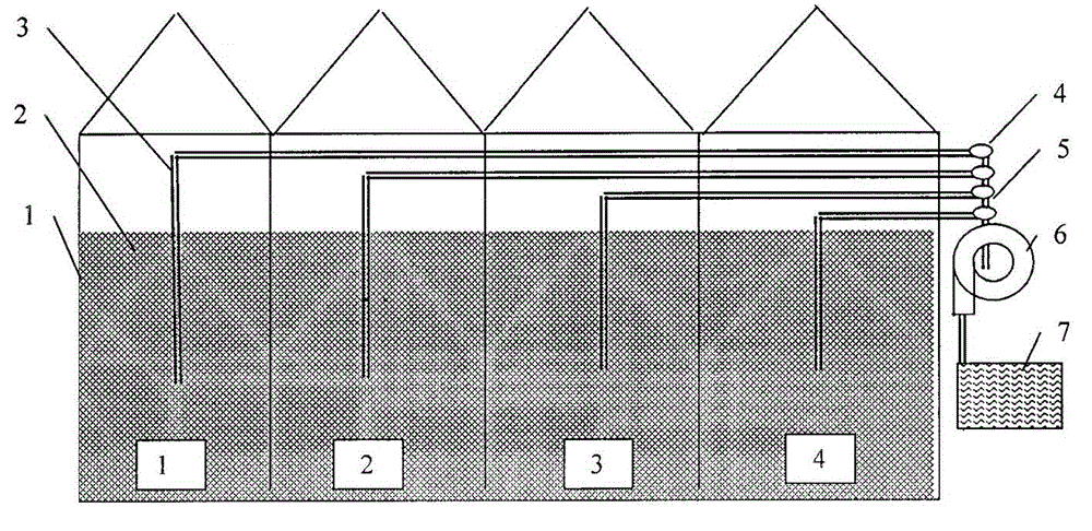 Method for quickly detecting active mold class groups in grains stored in real granaries