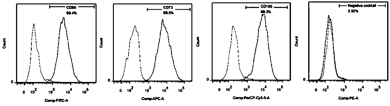 Method for highly efficient separation of adipose mesenchymal stem cells from adipose extracts