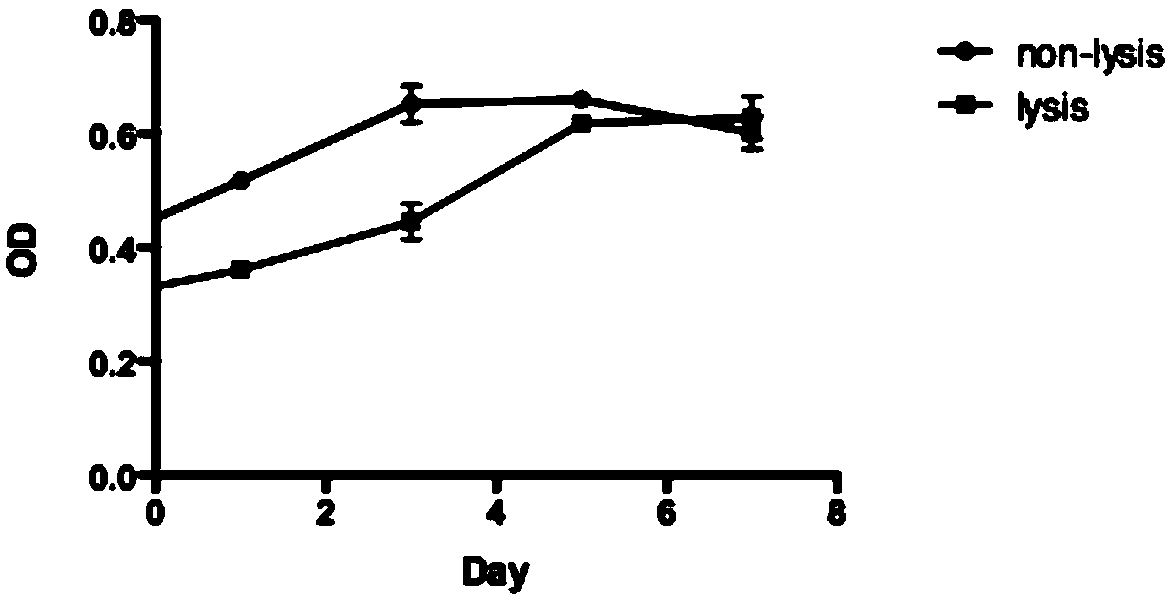 Method for highly efficient separation of adipose mesenchymal stem cells from adipose extracts