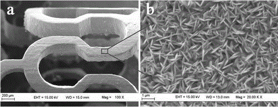 Hydrothermal preparation method of nano-titania coating on surface of magnesium alloy intravascular stent
