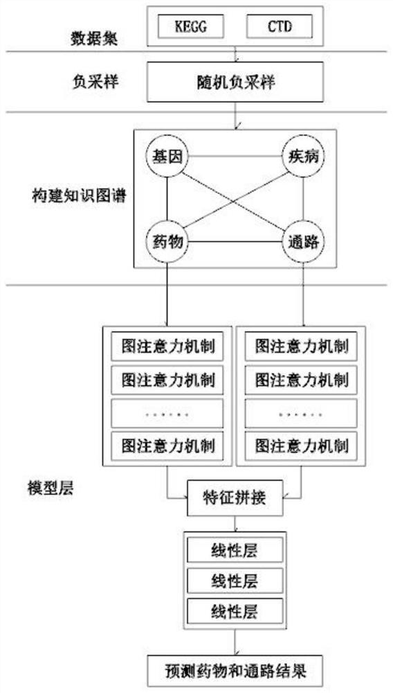 Association prediction method for drugs and pathways of knowledge graph attention network