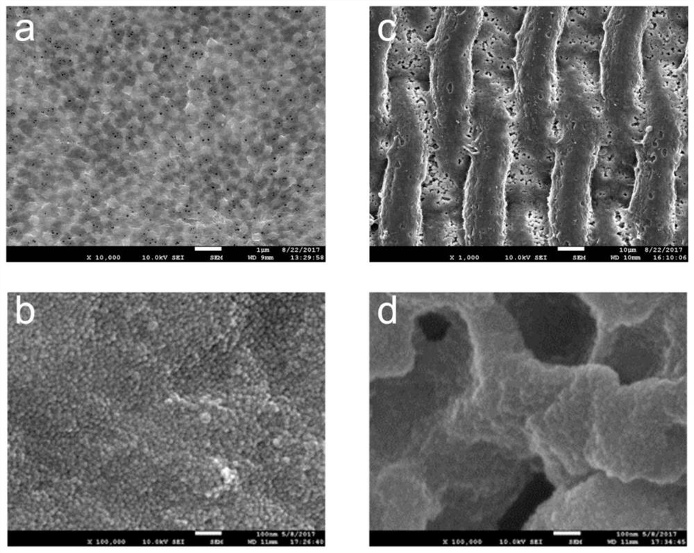 A preparation method of superhydrophilic organic membrane based on micro-nano substrate