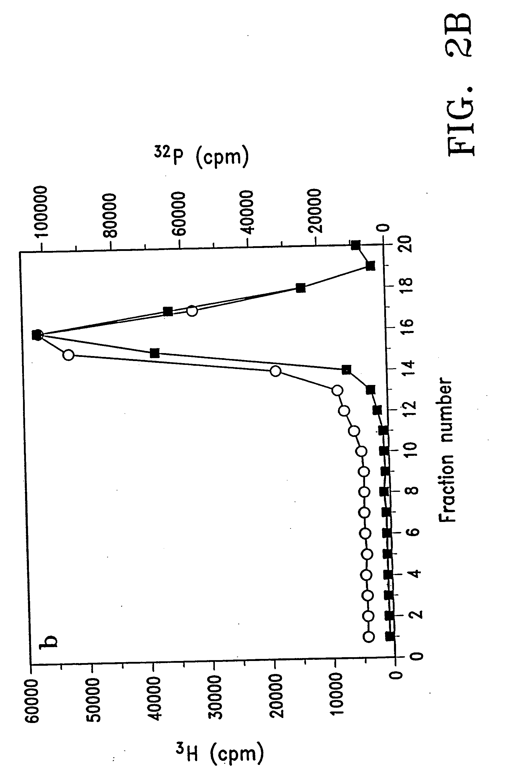 Stable lipid-comprising drug delivery complexes and methods for their production