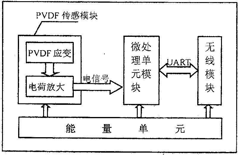 Local monitoring wireless sensor of vinylidene difluoride