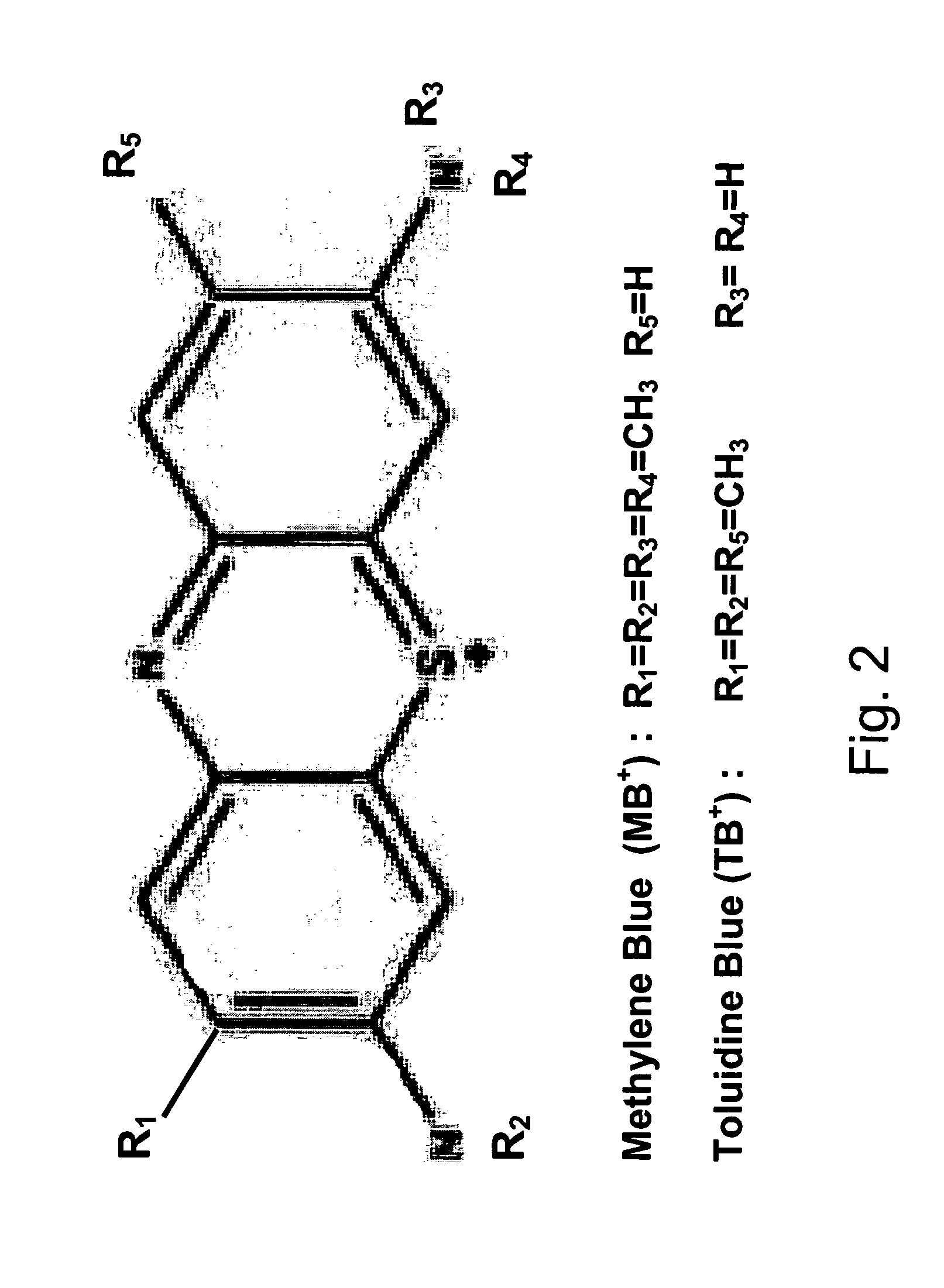 Polarized light imaging devices and methods