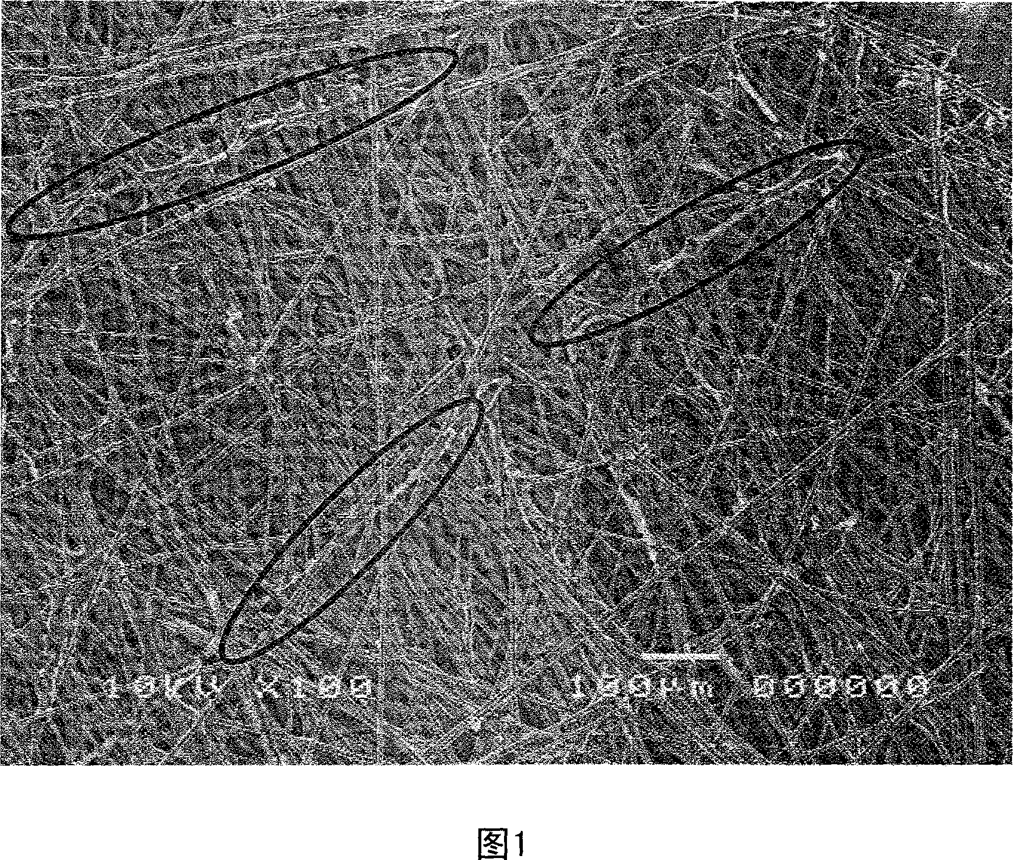 Porous electrode base material and process for producing the same