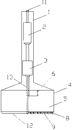 Cleaning device for whiskering stones