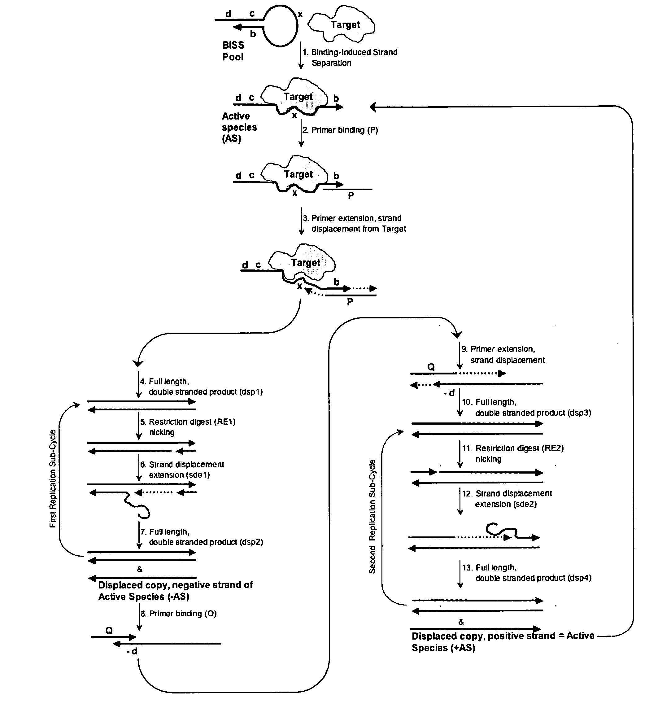 Autonomous in vitro evolution