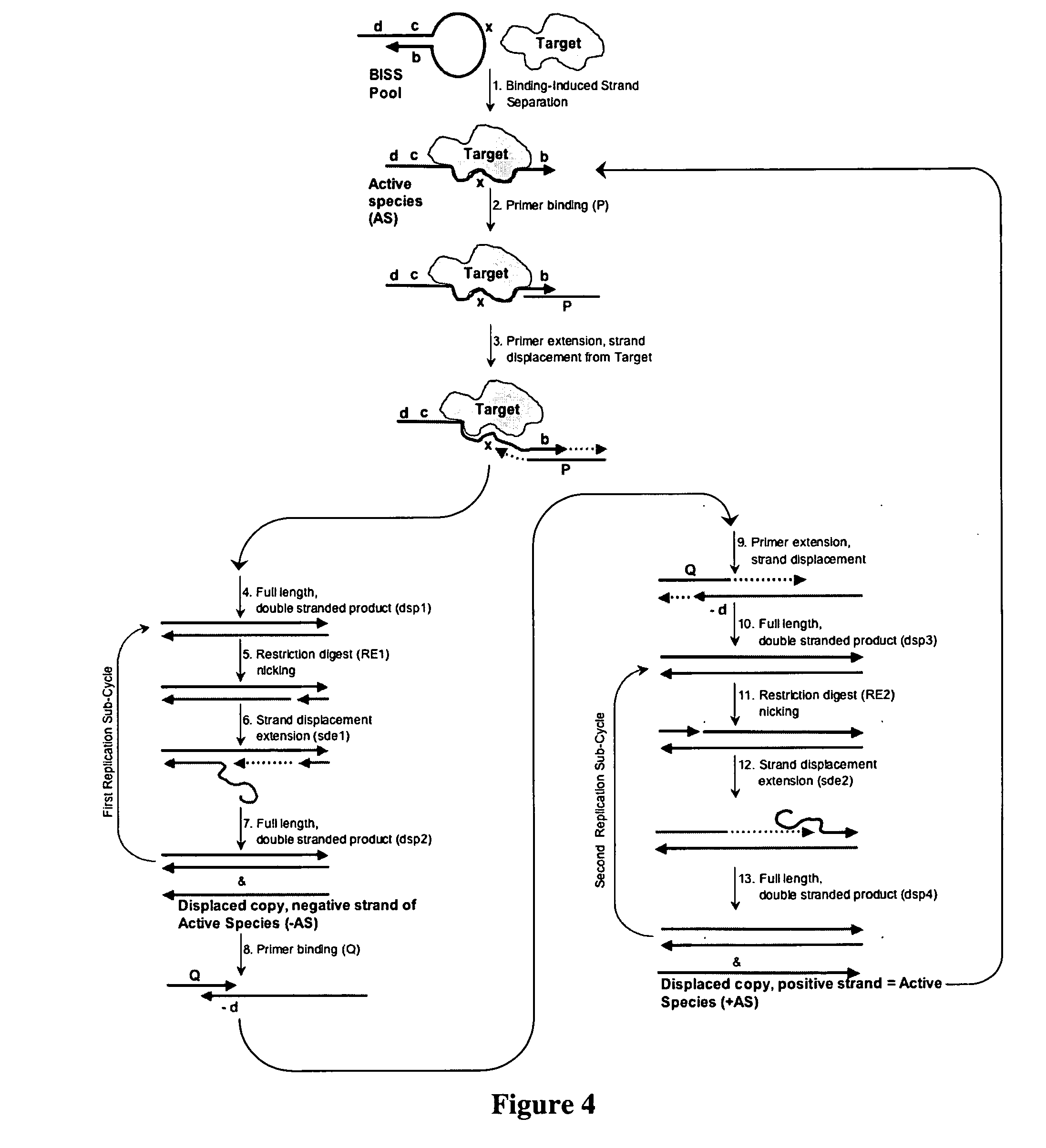 Autonomous in vitro evolution