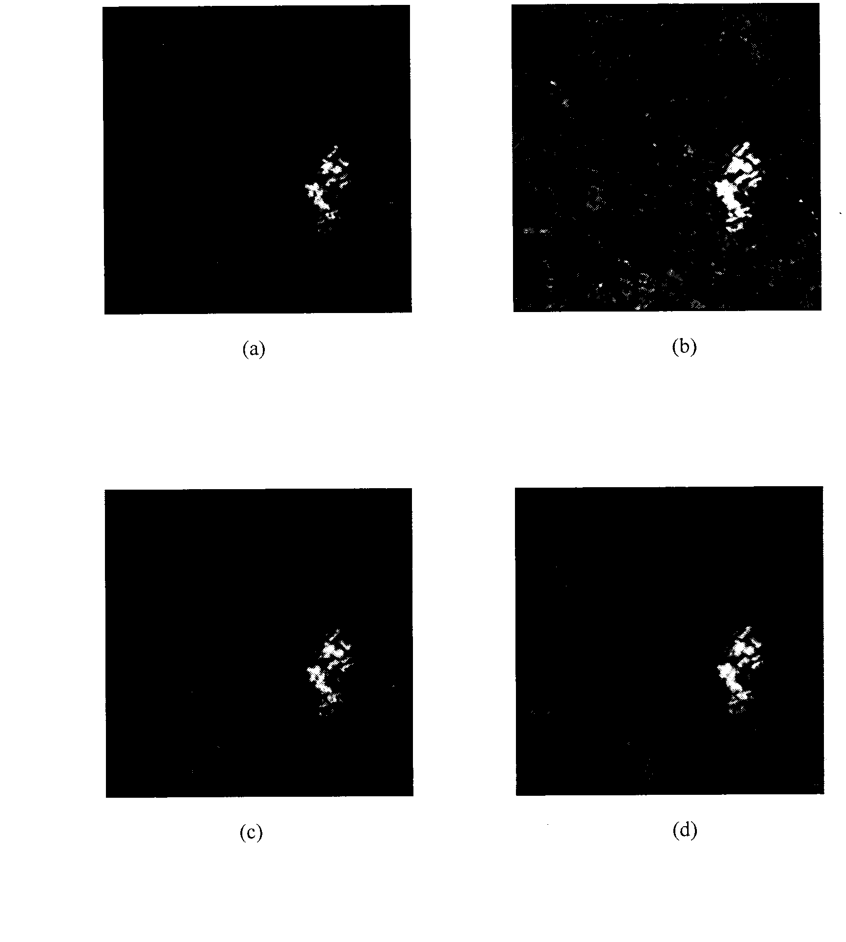 Synthetic aperture radar (SAR) image change detection difference chart generation method based on contourlet transform