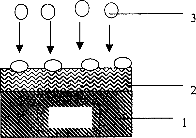 Photoetching method for nanoparticle pattern based on self organization