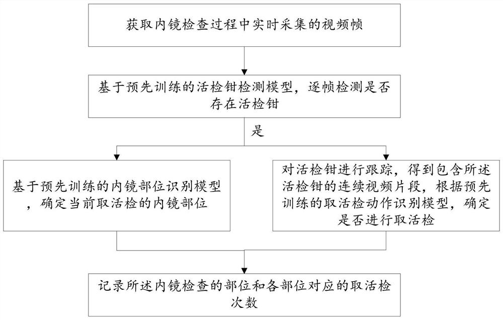 A method and system for automatically identifying biopsy sites and biopsy quantities under endoscopy