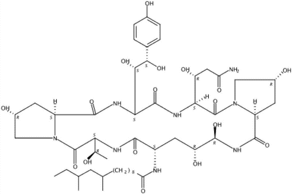 Fermentation method of caspofungin fermentation intermediate