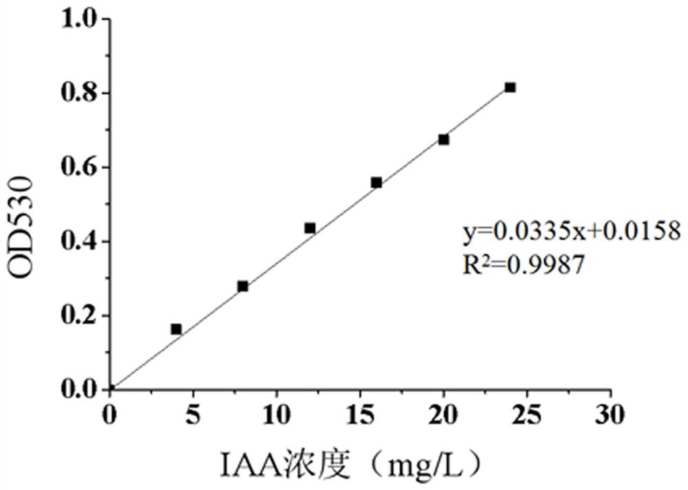 Phosphorus solubilizing bacterium 3-1 and application thereof in production of plant growth hormone