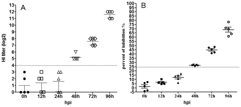 Anti-H9 subtype avian influenza virus monoclonal antibody, hybridoma cell strain and application of monoclonal antibody