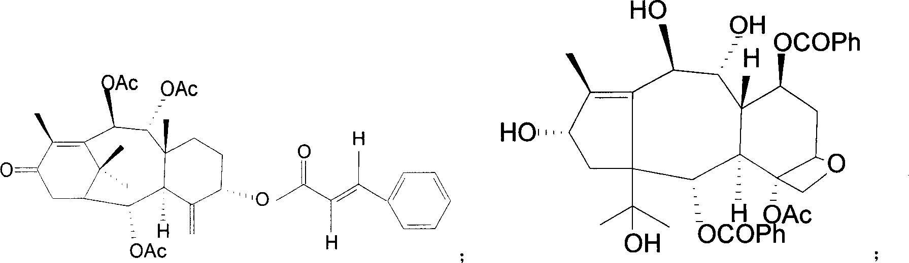 Yew genus plant extract and its extraction method and application