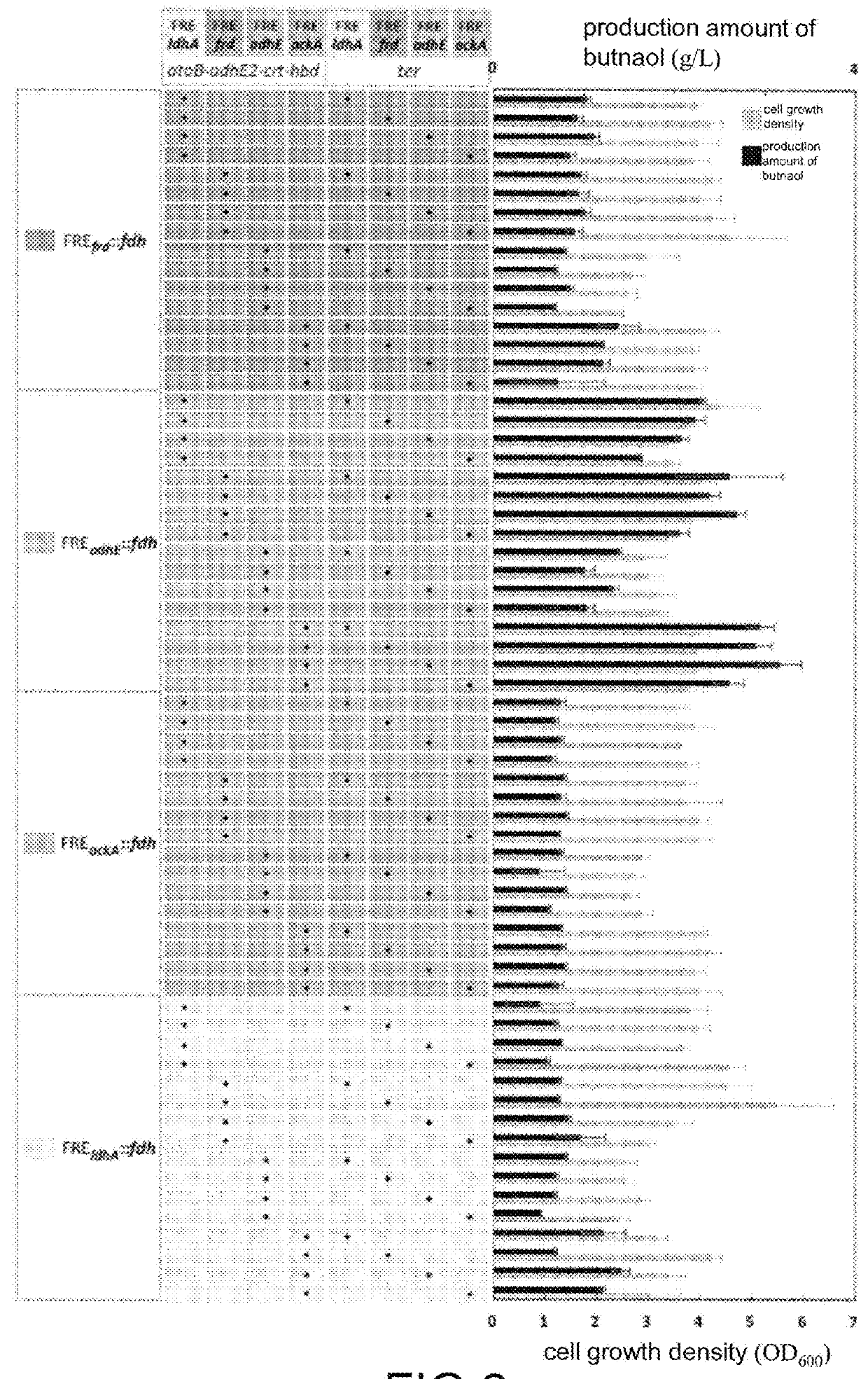 Butanol expression cassette, recombinant plasmid and butanol production related gene expression method