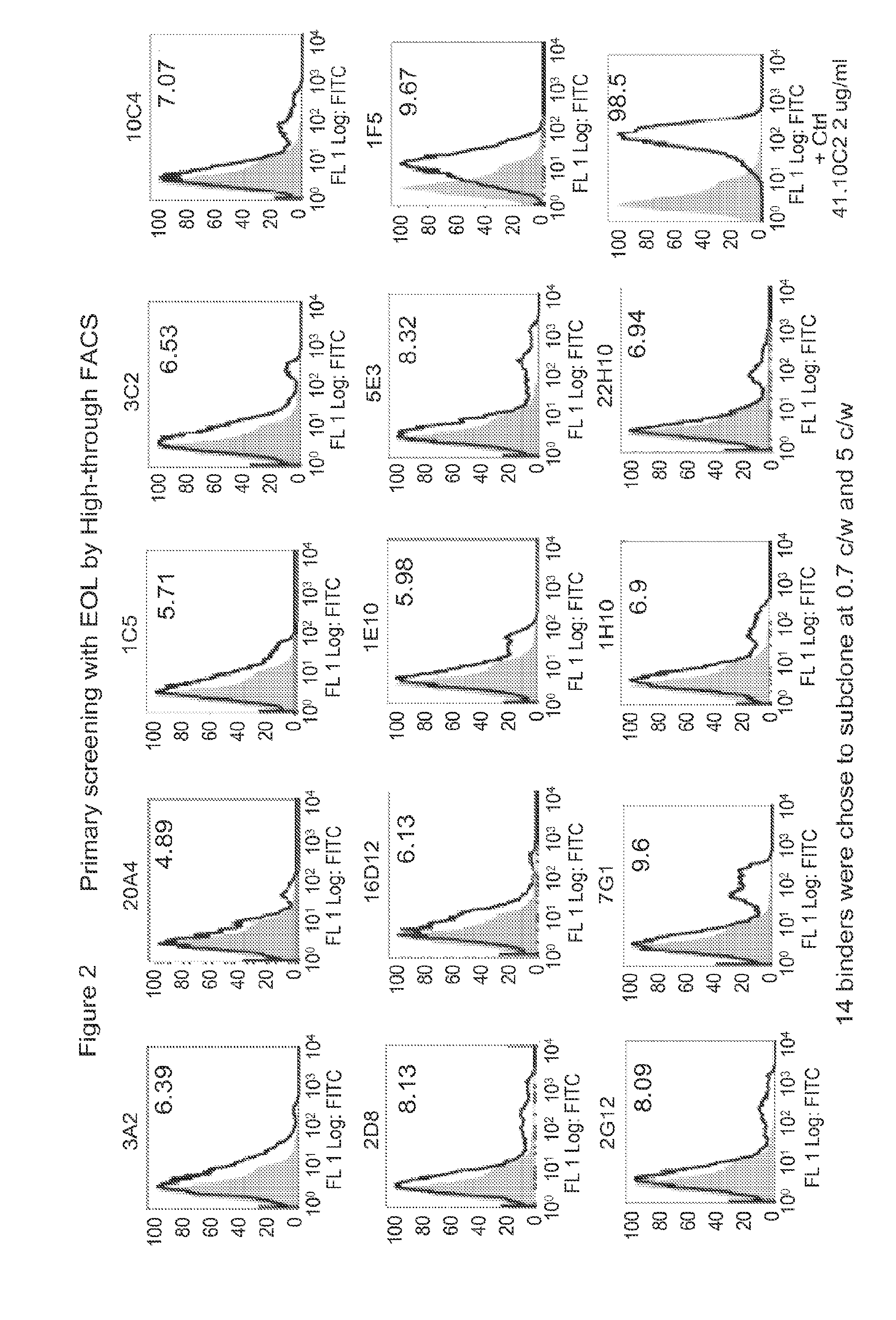 Antibodies that bind membrane-bound il1rap