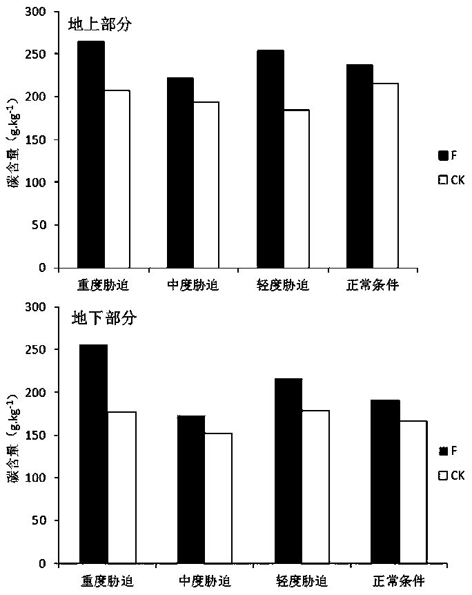 An endophytic fungus that promotes the uptake of nutrients in Acacia taiwanensis under low phosphorus environment