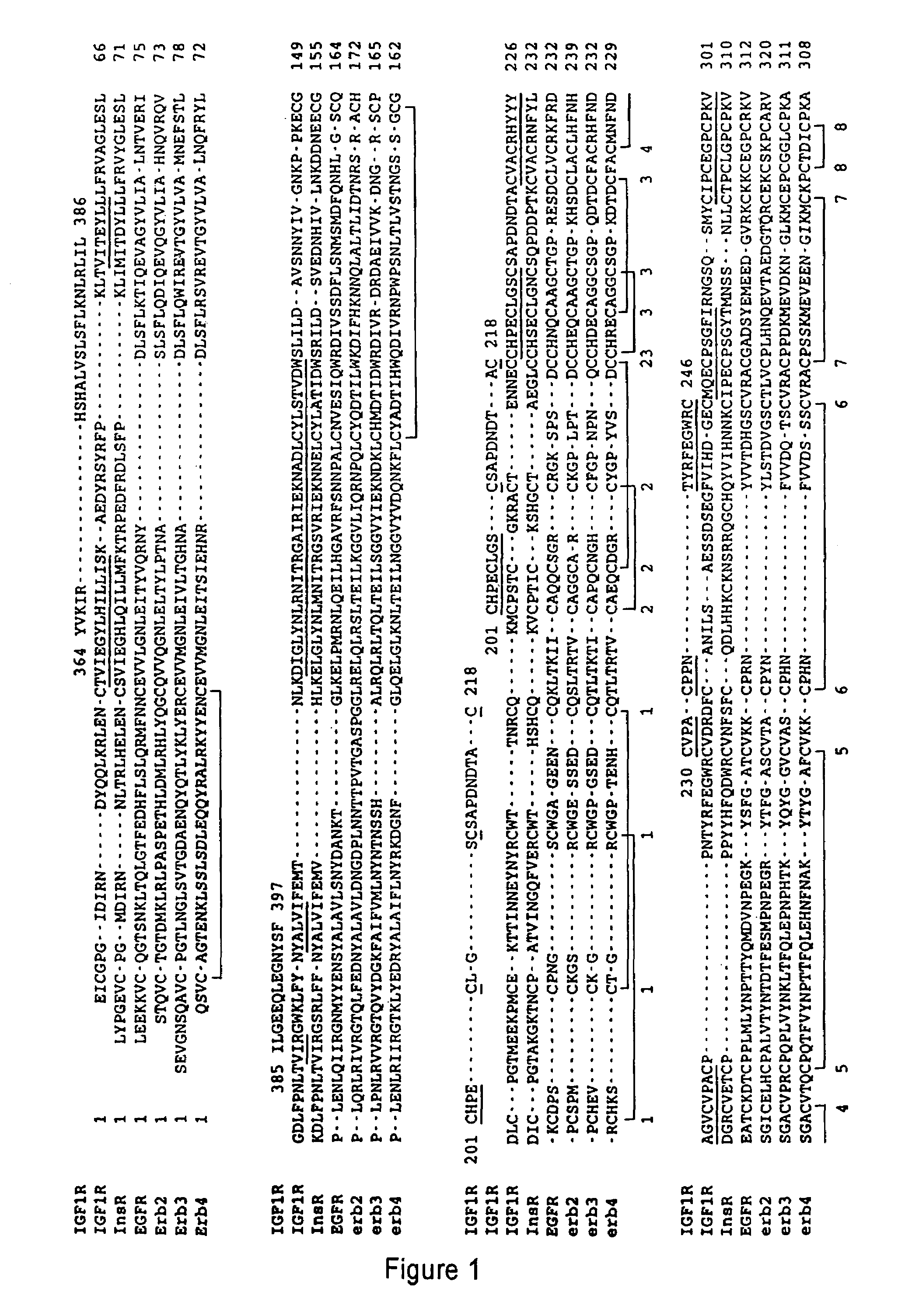 Method of designing agonists and antagonists to EGF receptor family
