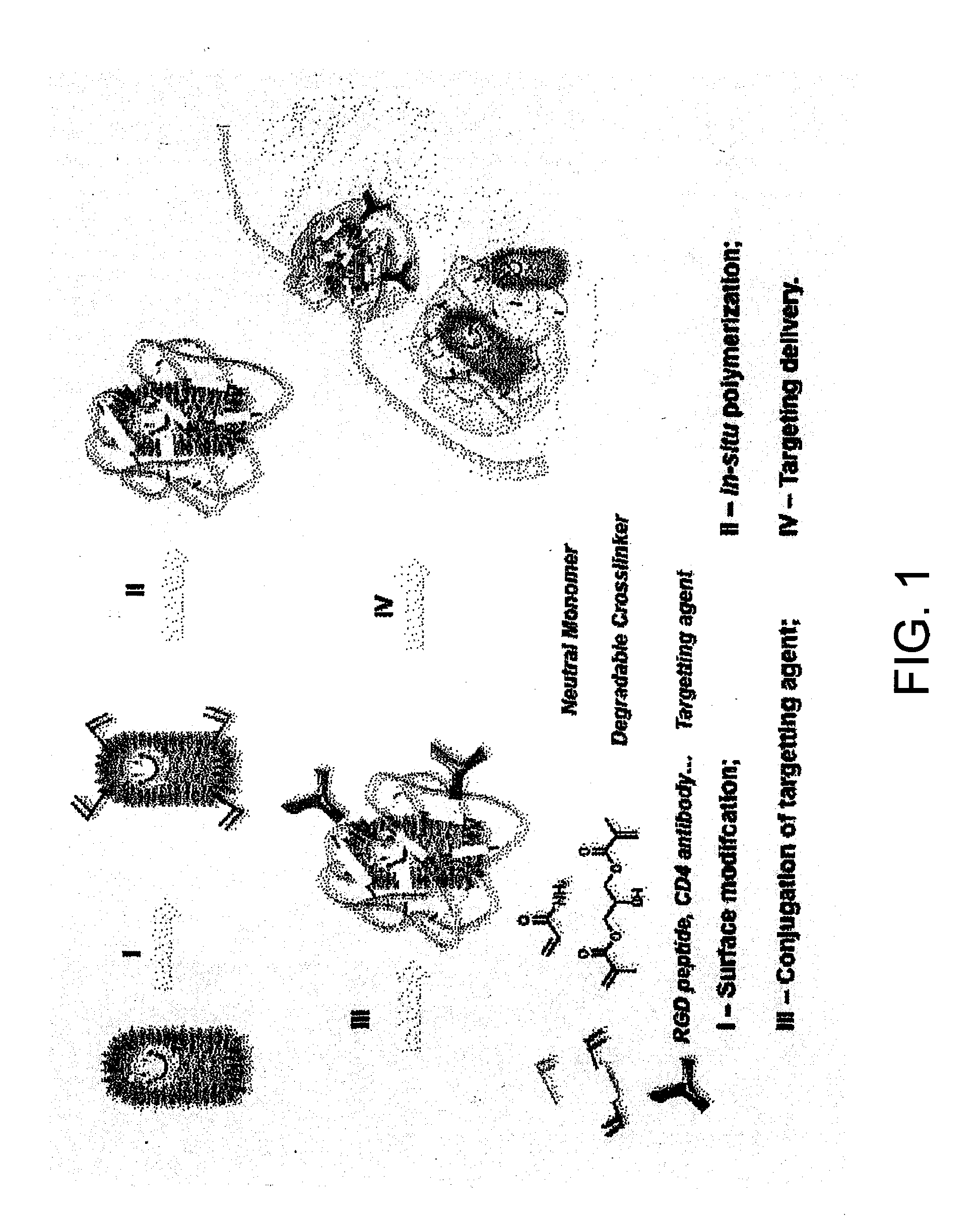 Viral vector nanocapsule for targeting gene therapy and its preparation