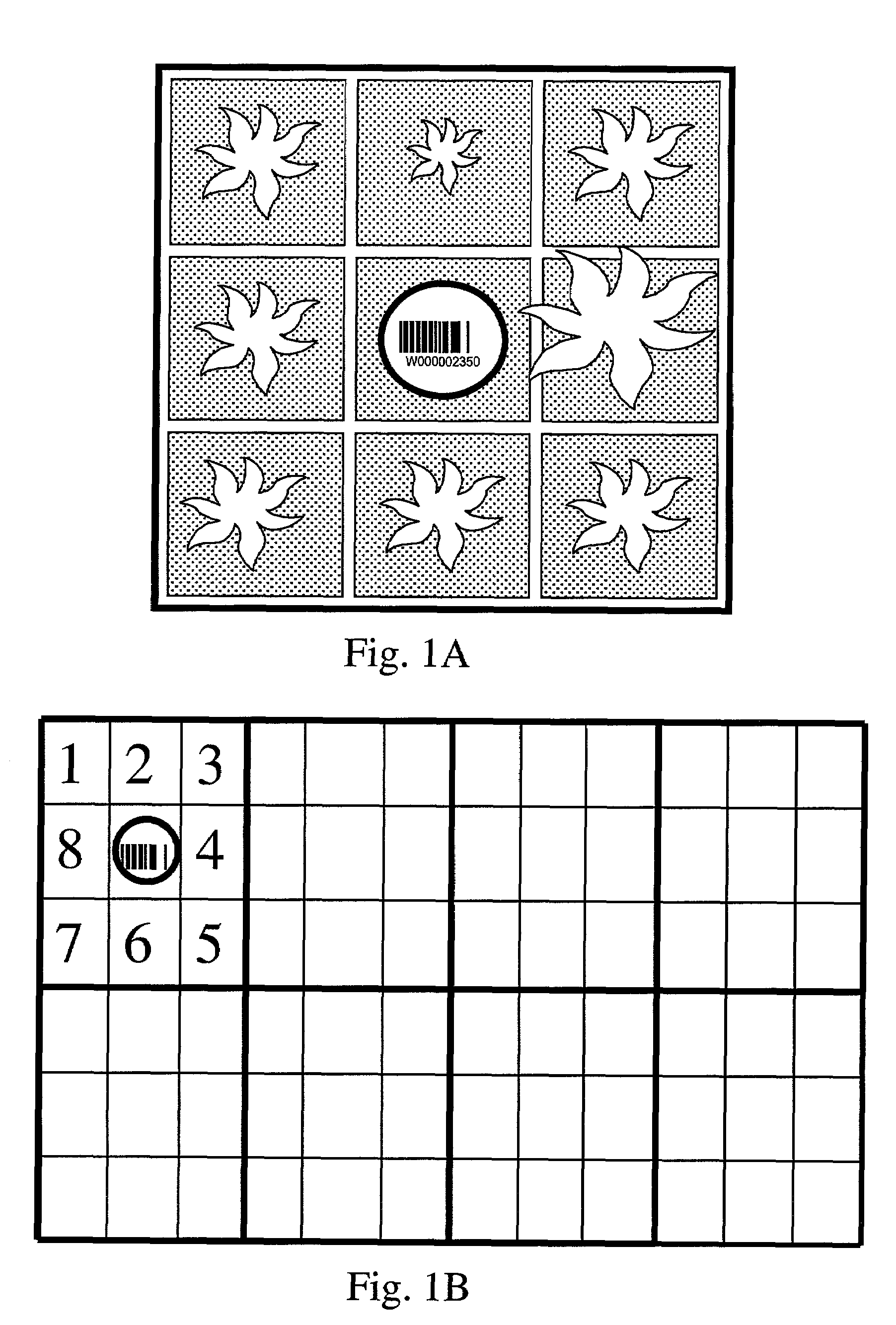 System for functional gene discovery in plants