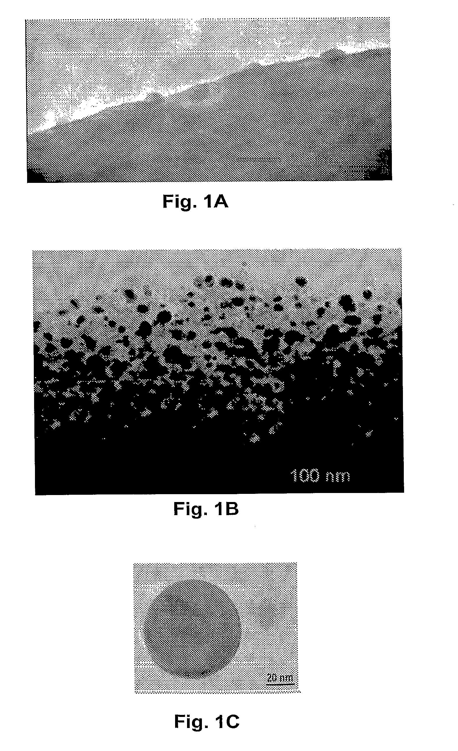 Carbon-Encased Metal Nanoparticles and Sponges, Methods of Synthesis, and Methods of Use