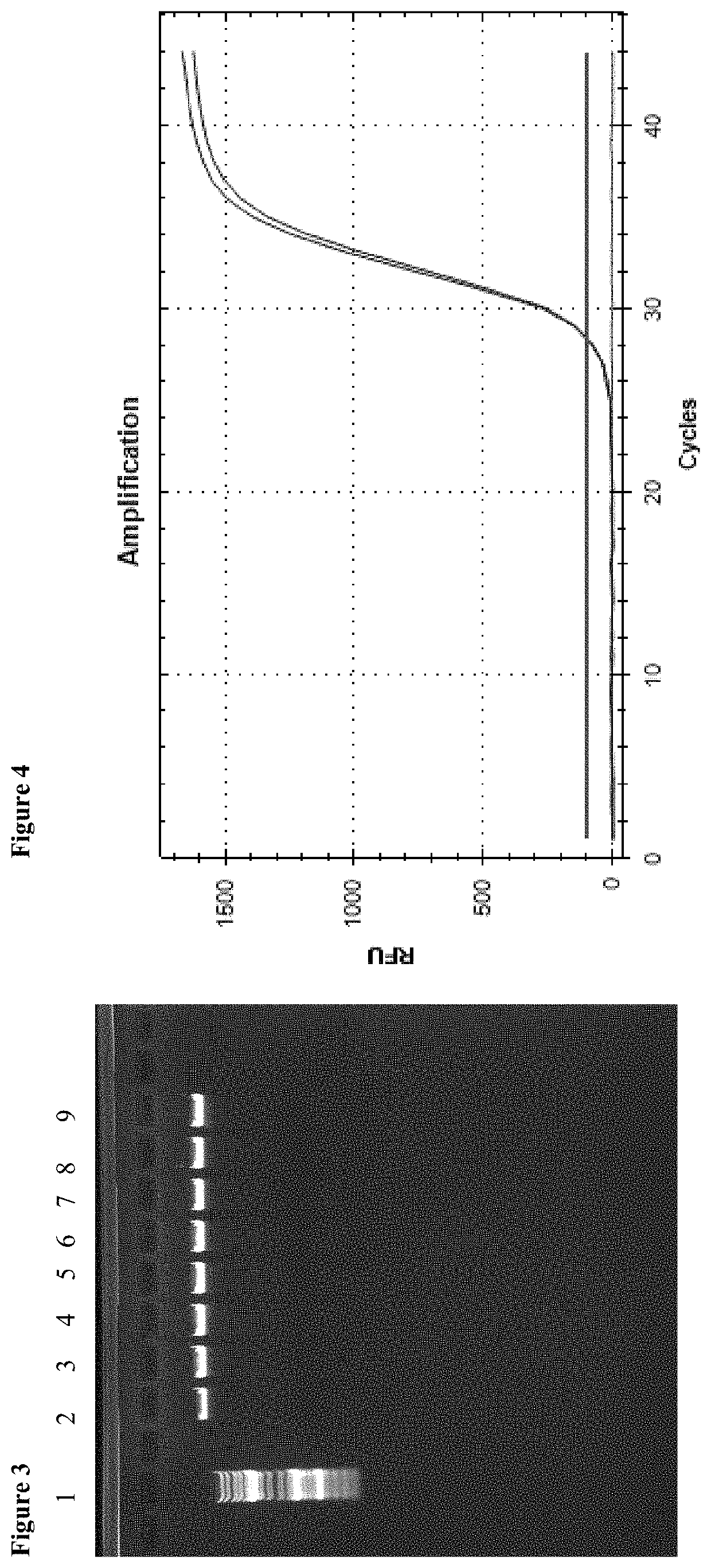 Method for enriching biomolecules and for removing the biomolecules from a biological sample