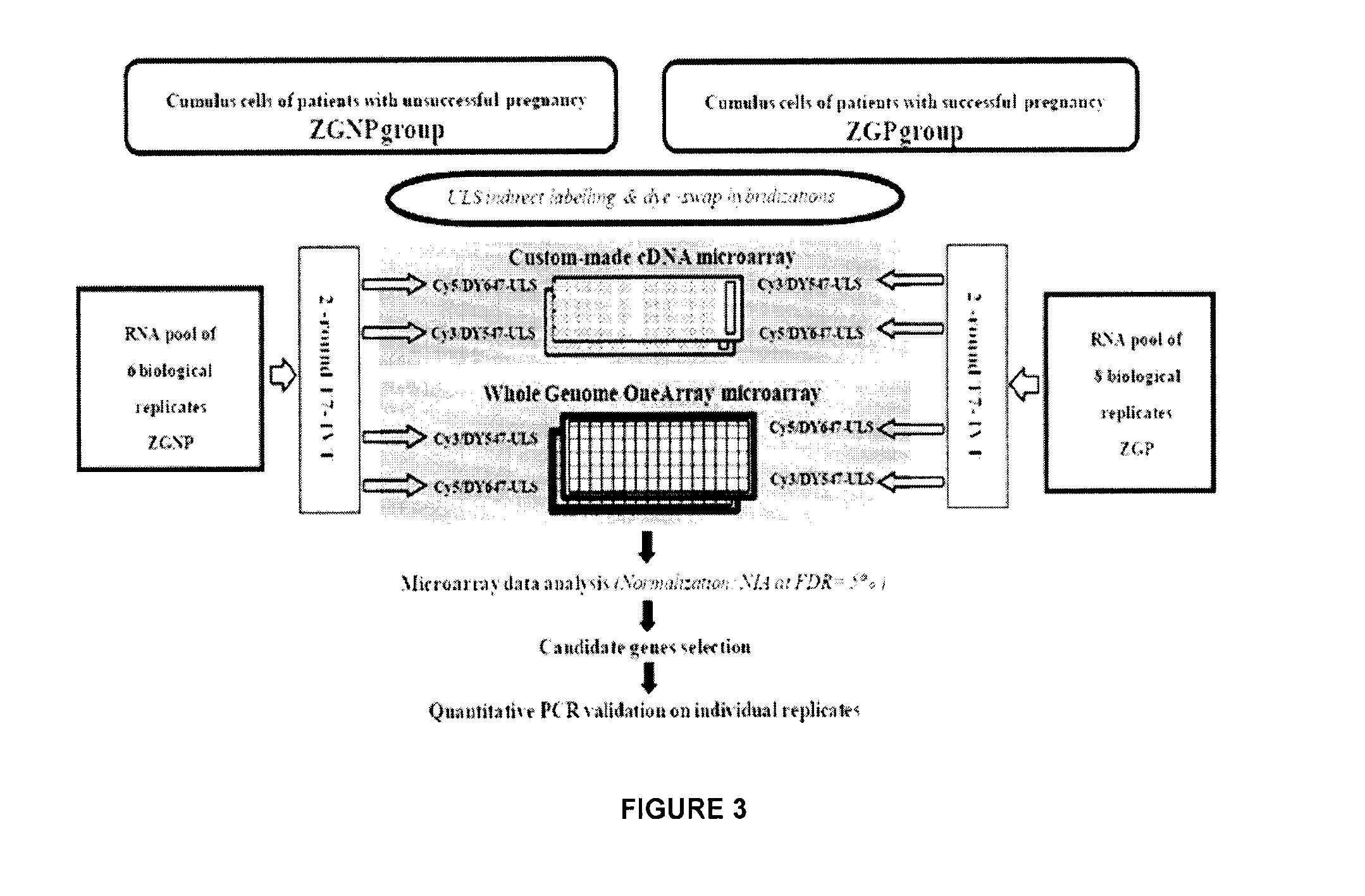 Ovarian Markers of Oocyte Competency and Uses Thereof