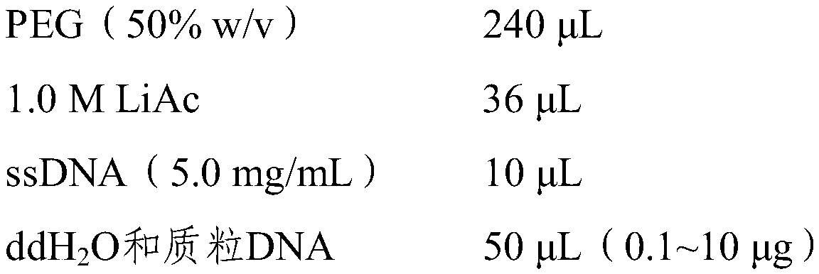 Tobacco AKT2/3 gene and application