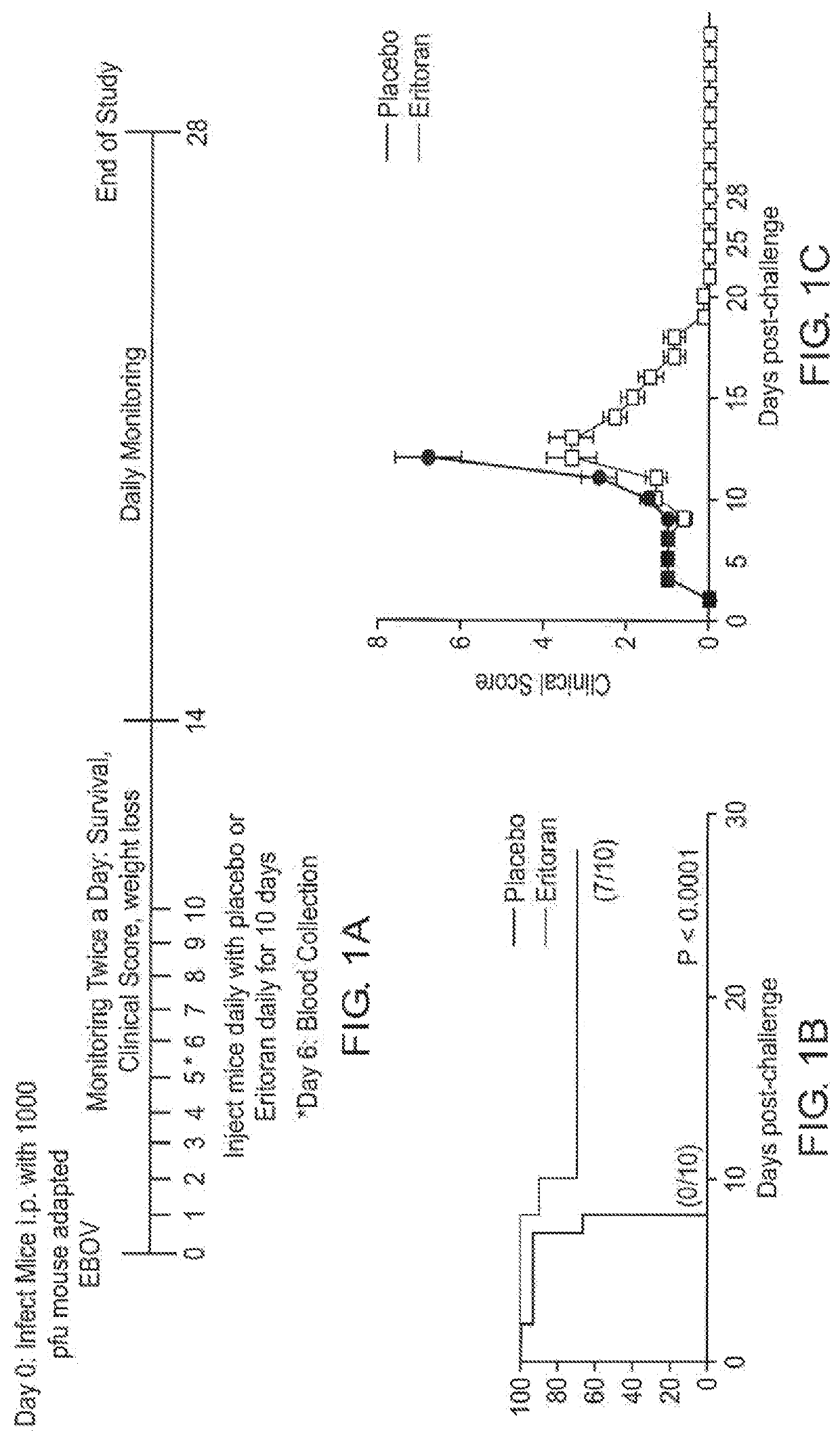 Method of use of eritoran as a TLR4 antagonist for treatment of ebola and Marburg disease