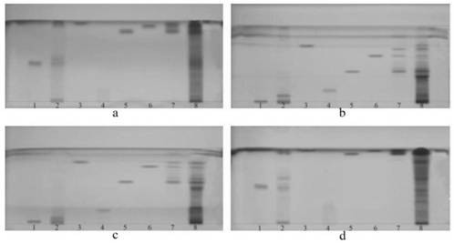 A method for quality detection of Zaoren Anshen capsules based on thin-layer chromatography