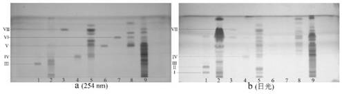 A method for quality detection of Zaoren Anshen capsules based on thin-layer chromatography