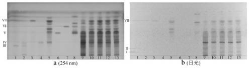 A method for quality detection of Zaoren Anshen capsules based on thin-layer chromatography