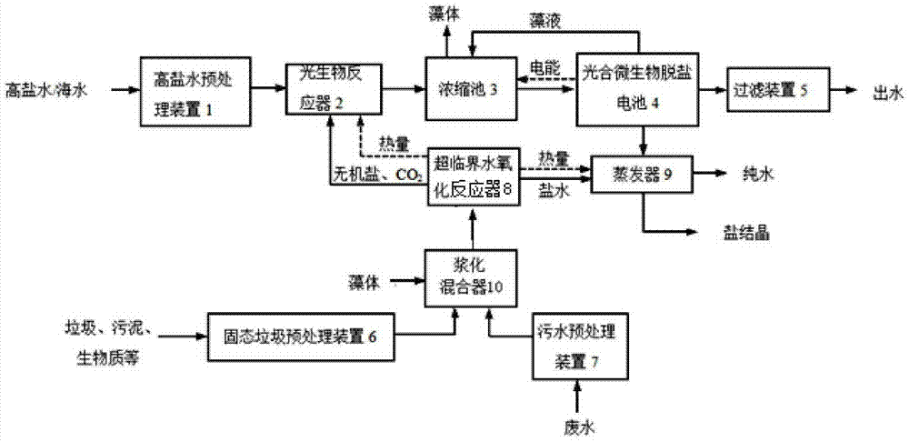 Microalga-based multi-technology coupled high-salinity water purification system