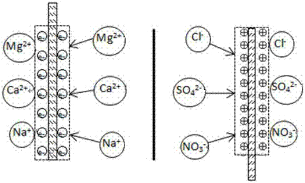 Microalga-based multi-technology coupled high-salinity water purification system