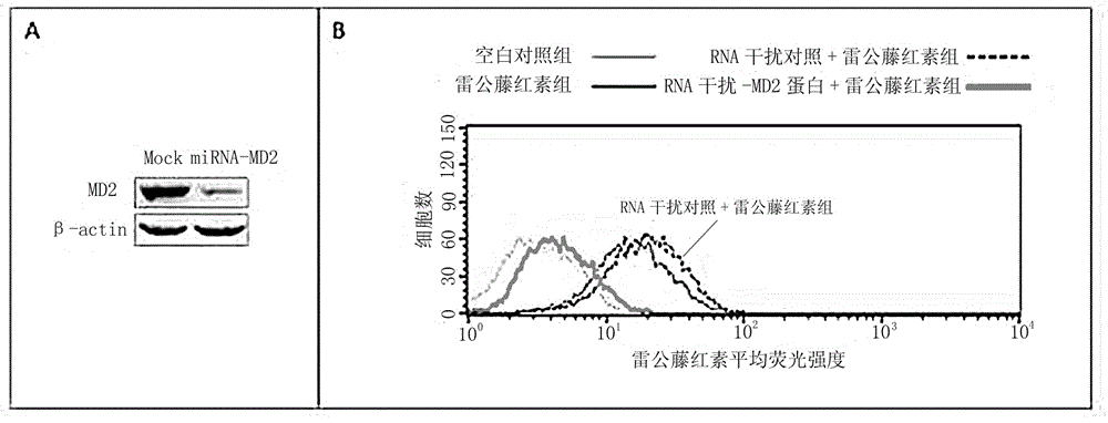 Lymphocyte antigen 96 protein-activated blocker and application thereof