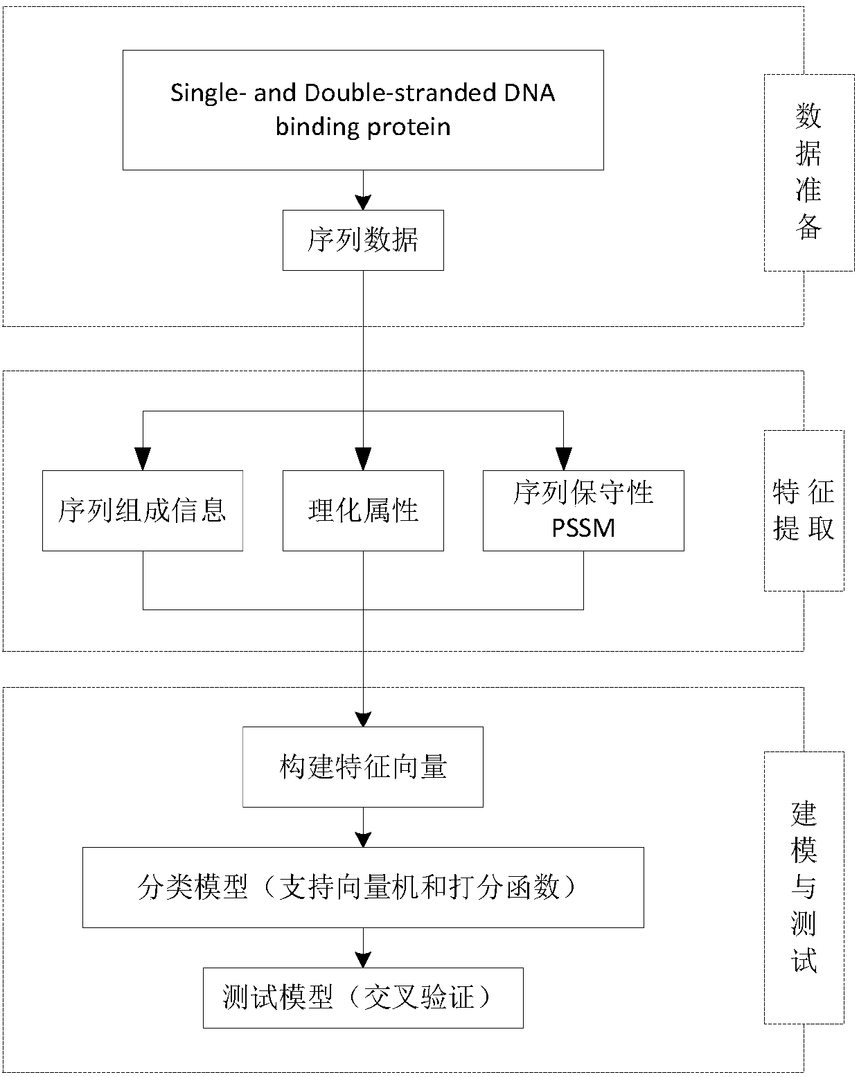 Characteristic extraction and classification method and device for DNA (Deoxyribo-Nucleic Acid) binding protein sequence information