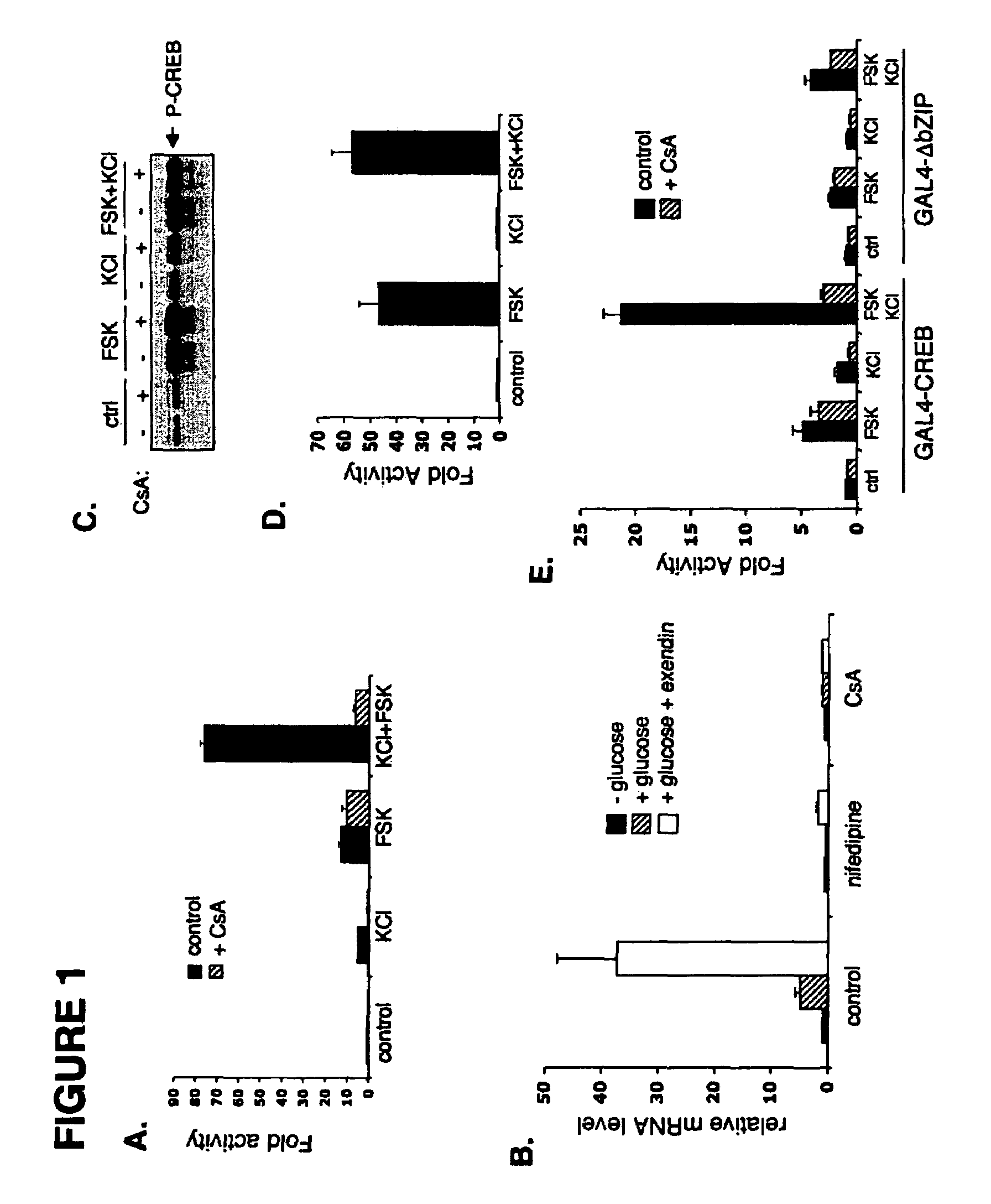 Method for screening compounds for those that modulate transducers of regulated CREB activity