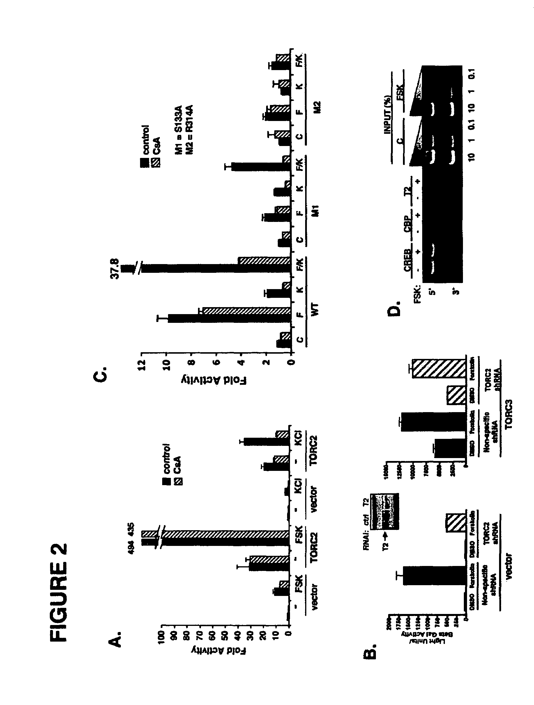 Method for screening compounds for those that modulate transducers of regulated CREB activity