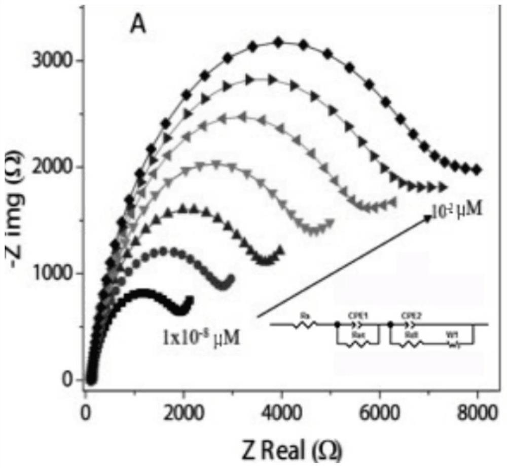 Peptide combined with endotoxin and application thereof in endotoxin detection