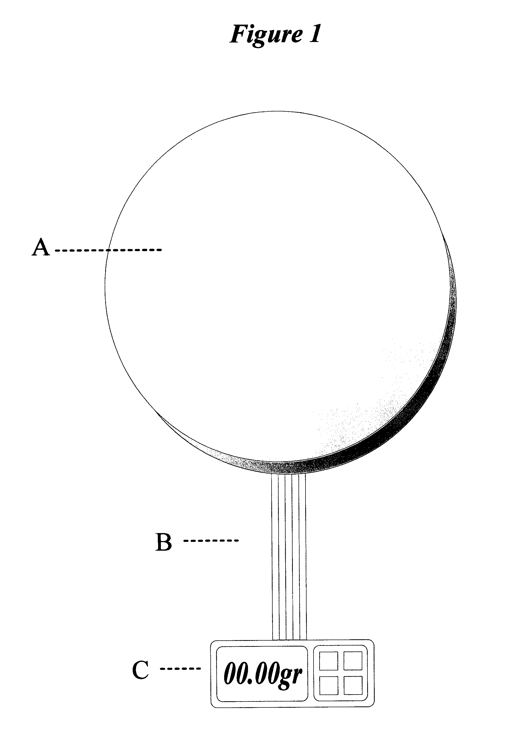 Portable digital plate scale