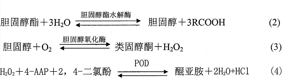 Two-step enzymatic determination method for cholesterol ester in serum