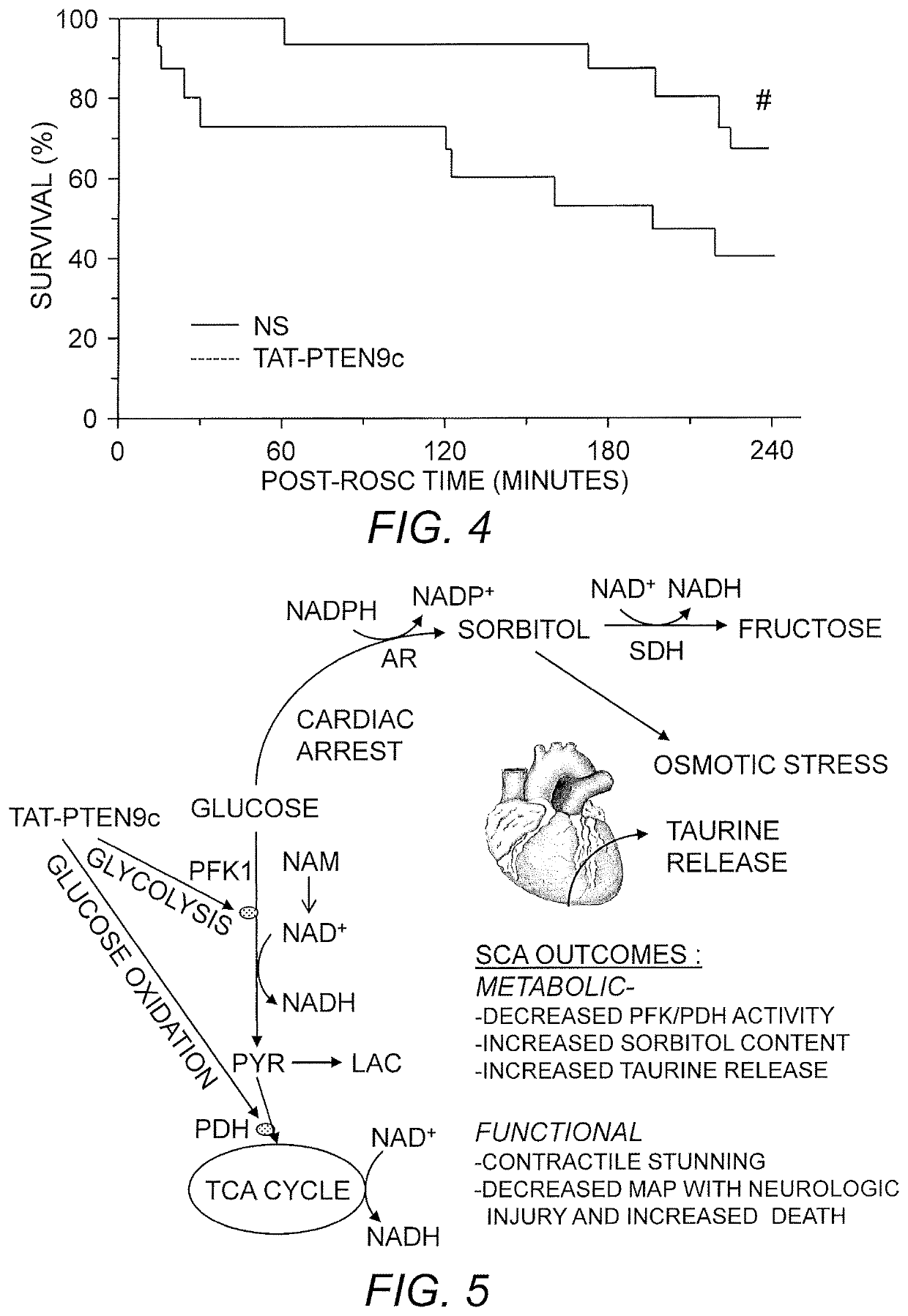 Peptides and method for treatment of cardiac arrest