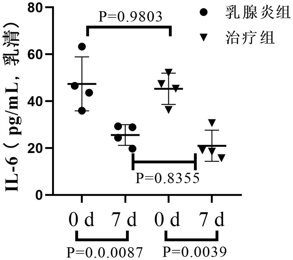 Preparation and application method of external ointment for treating dairy cow mastitis