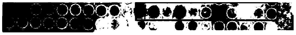 Antigen polypeptide recognized by lppz antibody and use thereof