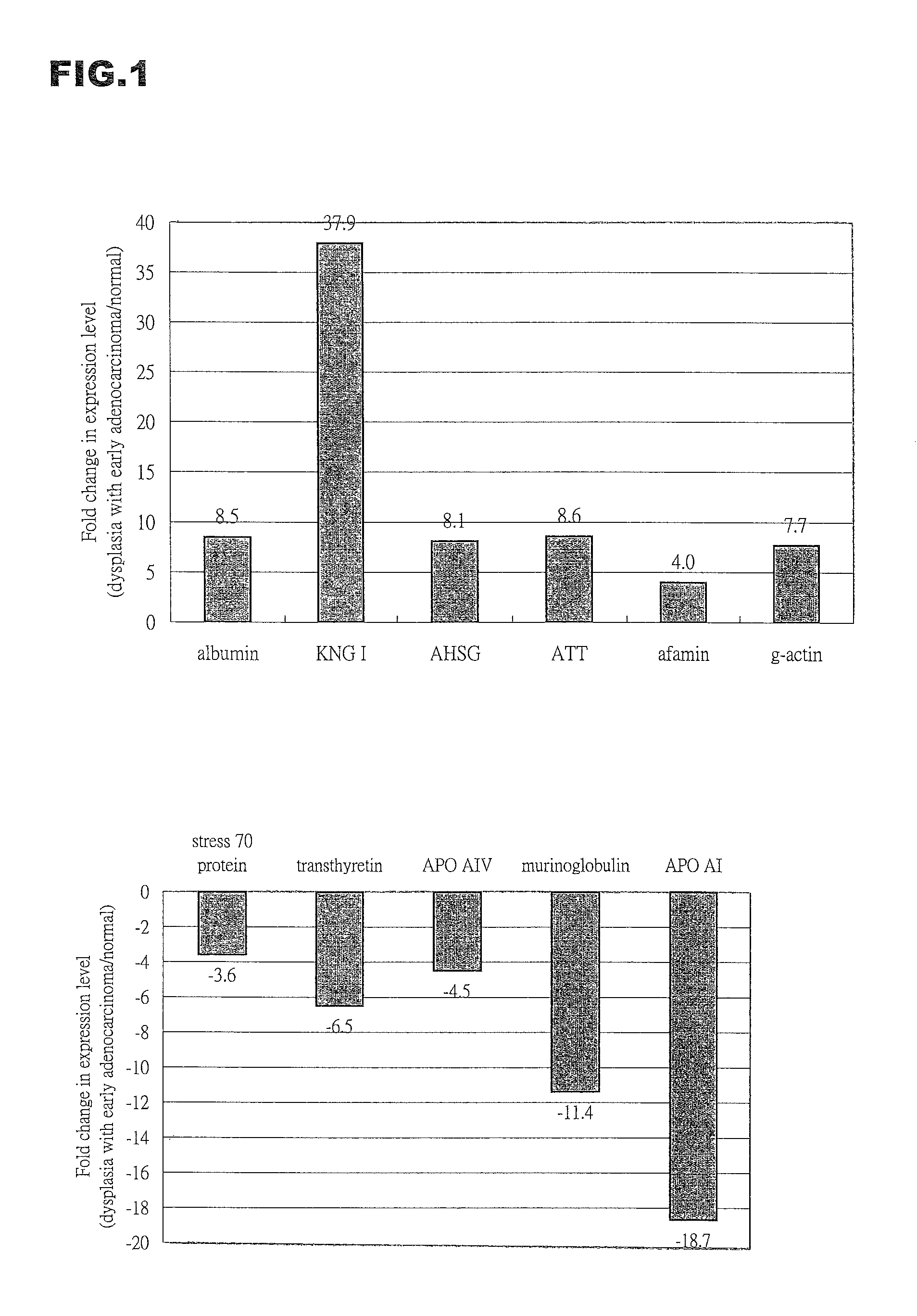 Biomarkers of gastric cancer and use thereof