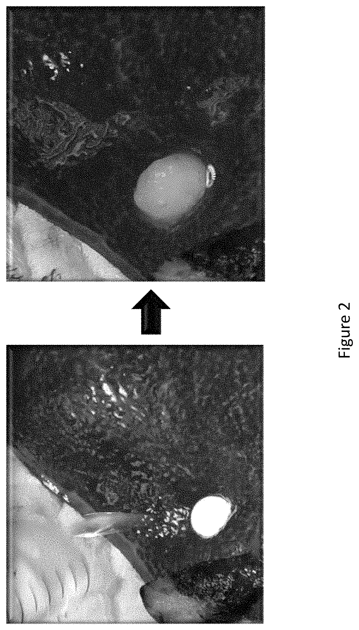 Expandable hemostat composed of oxidized cellulose