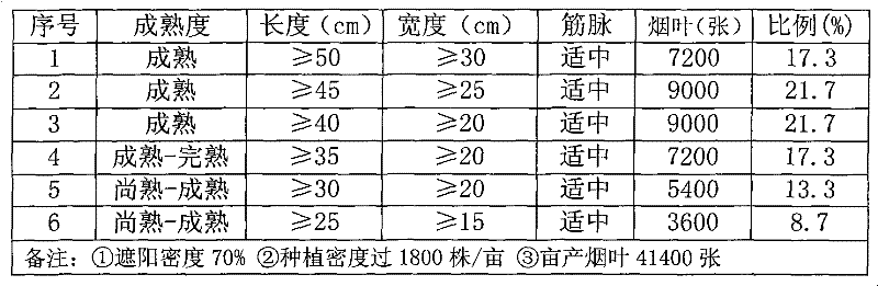 Method for cultivating cigar wrapper tobacco leaves