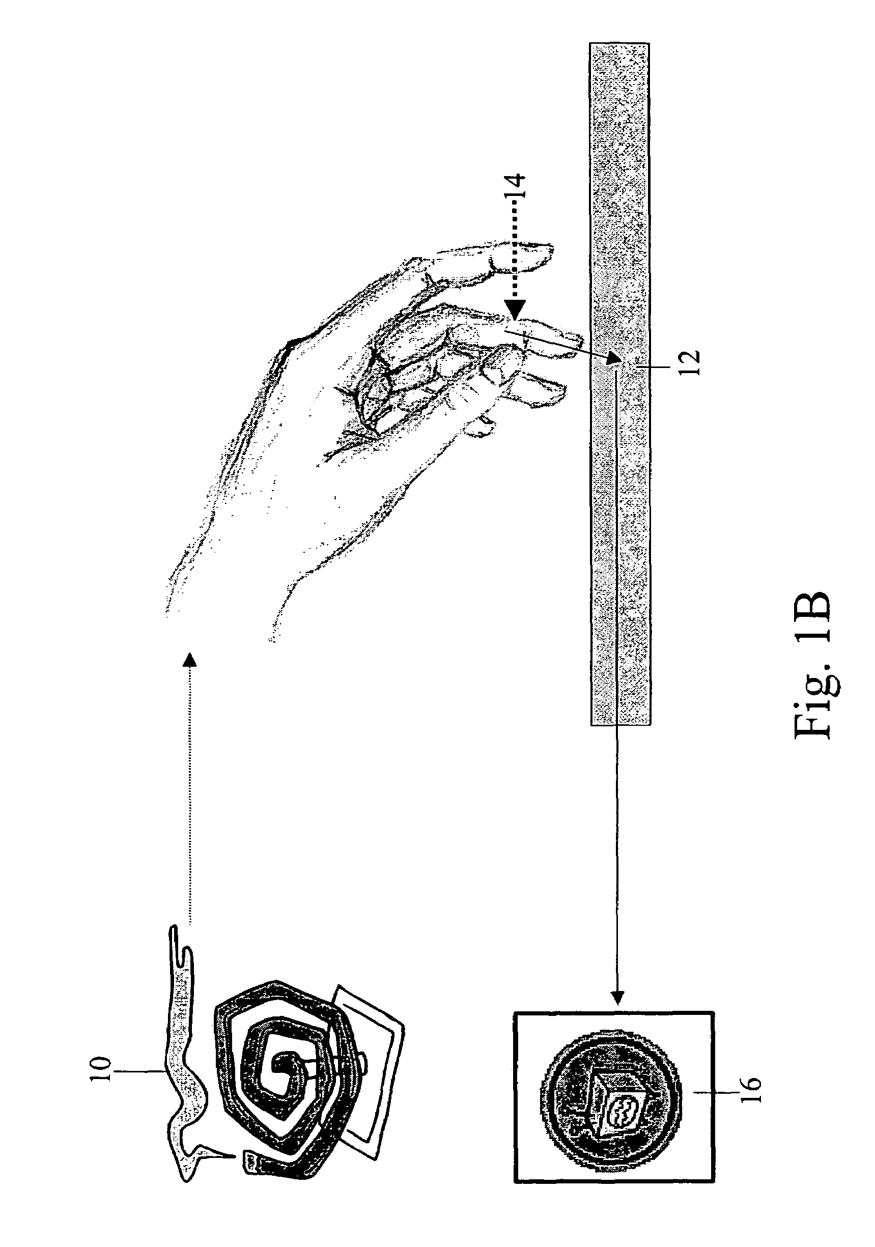 Touch detection for a digitizer